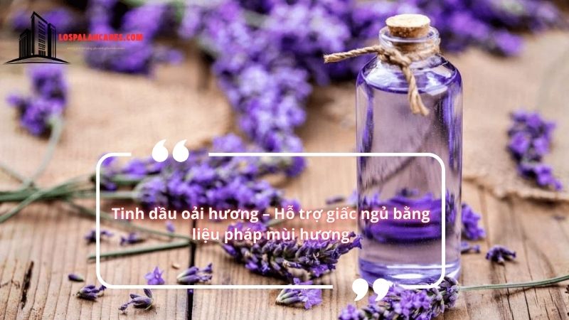 Tinh dầu oải hương – Hỗ trợ giấc ngủ bằng liệu pháp mùi hương