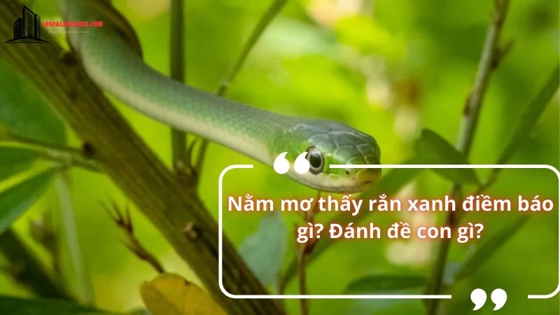 Nằm mơ thấy rắn xanh điềm báo gì?