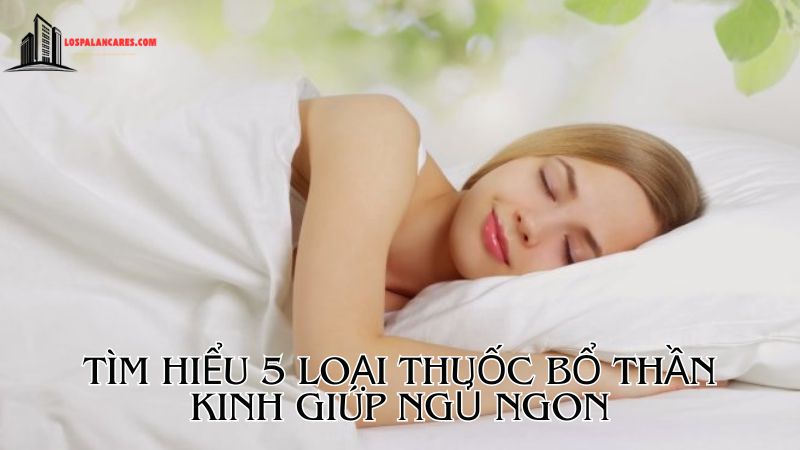 Top 5 thuốc bổ thần kinh giúp ngủ ngon hiệu quả và an toàn